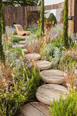 Toms Gartenparadies