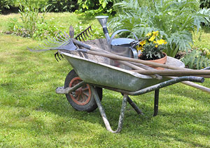 Gartenpflege