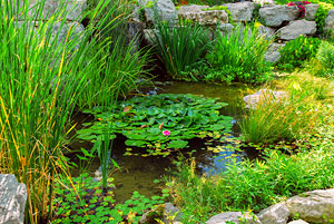 Teichbau